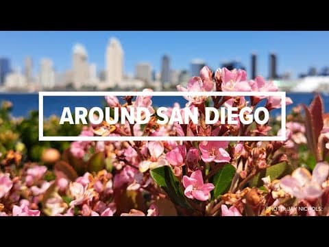 Around San Diego | The big stories from the past week