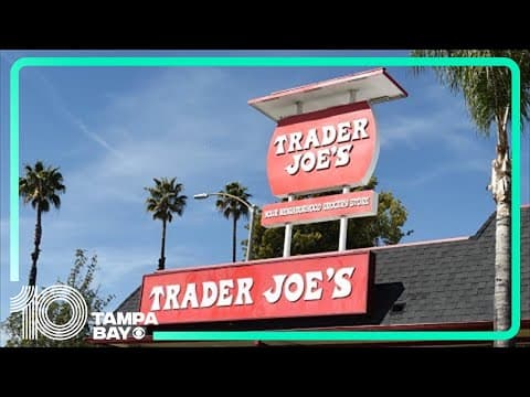 Trader Joe's store set for Palm Harbor