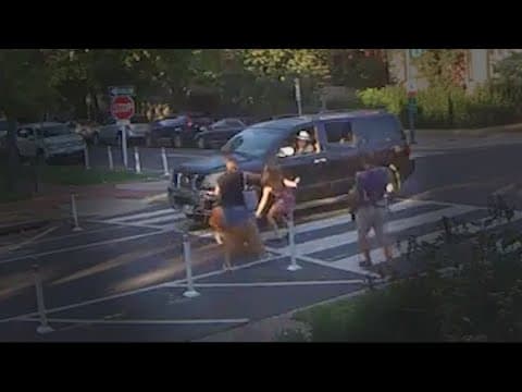 WATCH: Driver hits mother, son and dog – then drives off