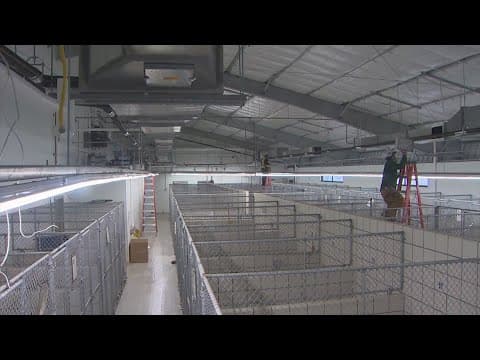 Update on rebuilding efforts one year after tornadoes hit Southeast Texas