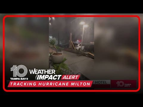 VIDEO: Palm tree falls outside of Moxy Hotel in St. Pete during Milton