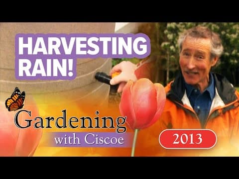 HARVESTING RAIN! How To Cut Your Water Bill! | Gardening With Ciscoe | Full Episode