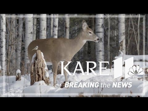 DNR announces major updates to deer hunting rules