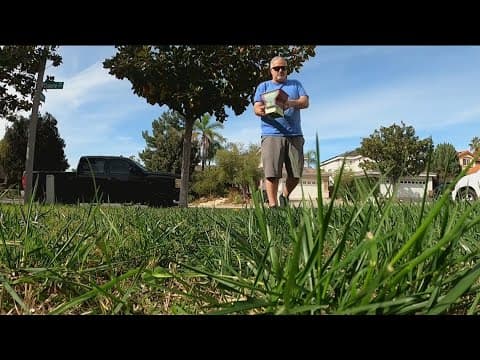 Preparing your garden for El Niño rains