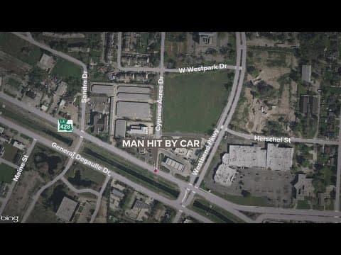 Man struck and killed by car in Algiers, police say