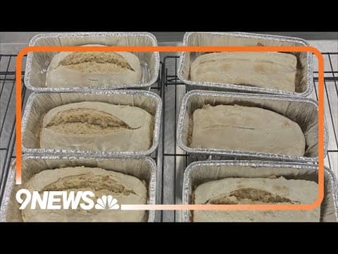 CSU scientists analyze why sourdough starters impact final product