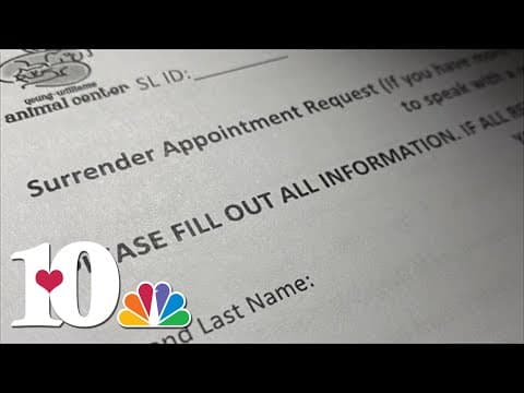 Owner surrenders of animals take months at Young Williams Animal Center