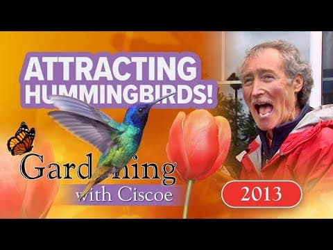 ATTRACT HUMMINGBIRDS with These Plants, Not Nectar! | Gardening With Ciscoe | Full Episode