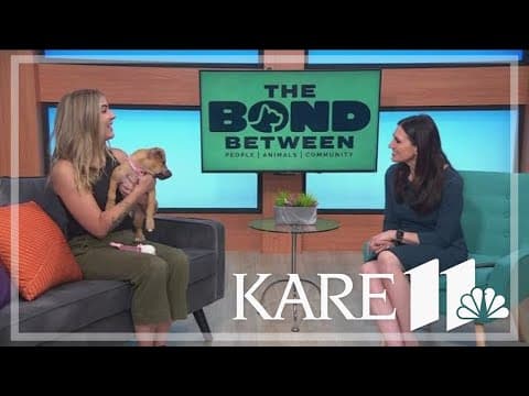 2024 Fast & the Furriest 5k set for Saturday