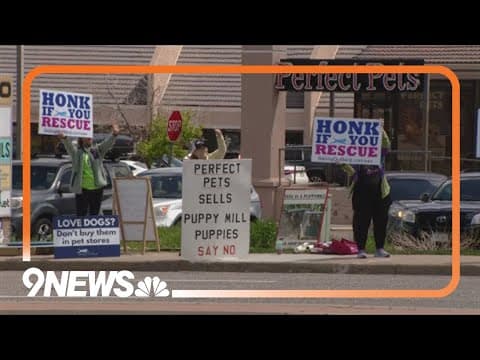 Protesters outside Colorado pet store call for end to puppy mills
