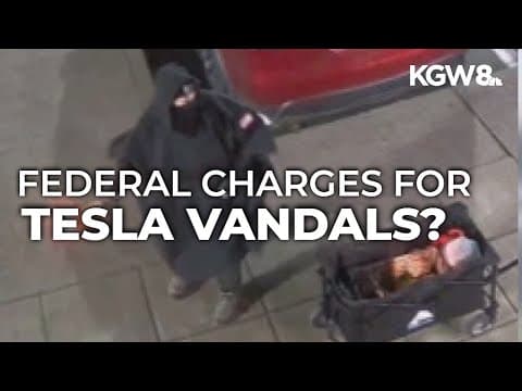 AG Pam Bondi: Tesla vandals to face 'severe charges'