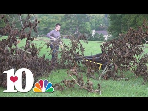 Lakeshore Park to reopen after storm damage