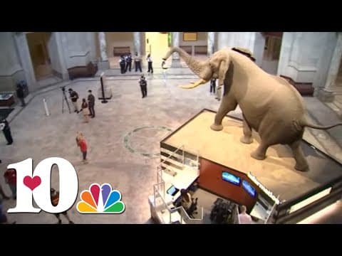 White House reviewing Smithsonian exhibits to make sure they align with president's vision