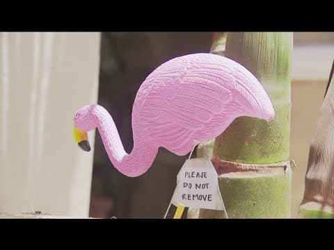 Speakeasy to superheroes | Here's what's free at the San Diego County Fair