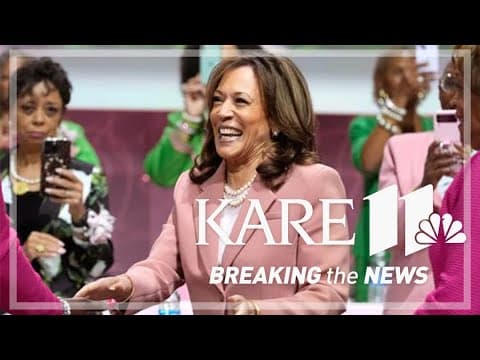 ‘We’re in a different moment’: Professor explains why identity of VP Harris matters more this electi