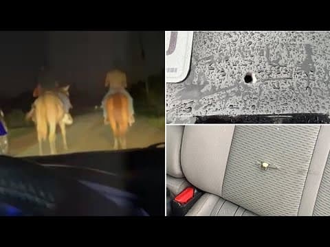 'Definitely have had nightmares' | Delivery driver says man on horseback tried to shoot him in Fort