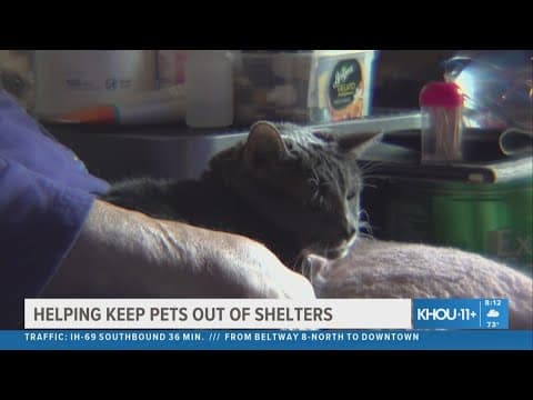 Florida organization helping keep families keep their pets out of shelters