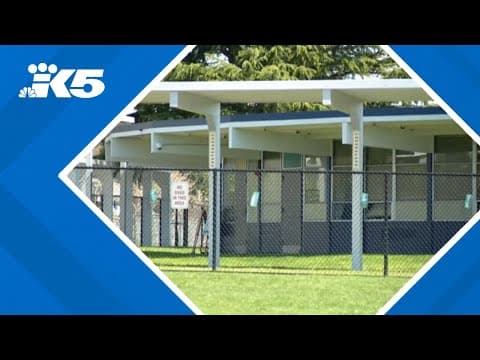 Parents, teachers share concerns over infrastructure issues at Birney Elementary School