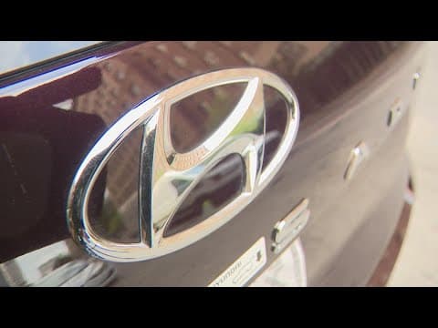 Hyundai providing free anti-theft software installion this weekend at Greenspoint Mall