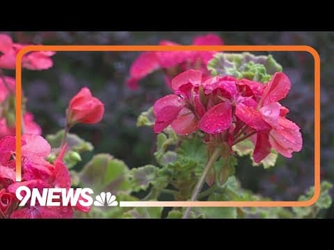 Proctor's Garden: Don't plant in soggy soil