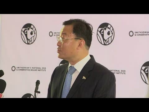 Giant pandas coming back to DC