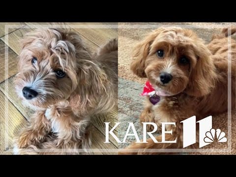 Your Good News: Grandma and Grandpa, Cheryl, Karen Heinke, Schmidtbauer family