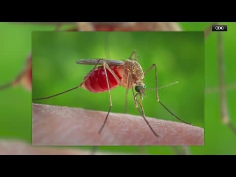 3 new West Nile deaths have been reported in the Midwest