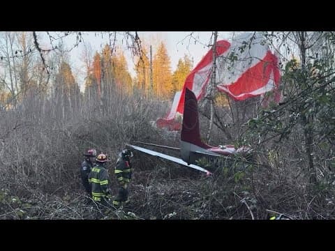 Small plane with 2 men on board crashes in Bellevue; no injuries reported