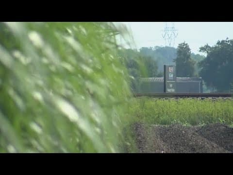 Trump: Coca-Cola to Use Real Sugar in U.S. and what it means for Louisiana