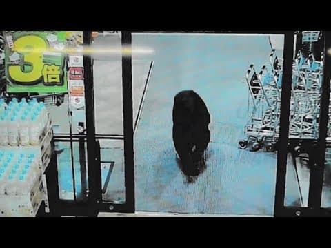 Bear breaks into Tokyo supermarket