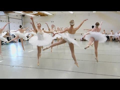 BalletMet reinterprets 'Swan Lake' for a new generation