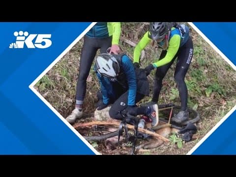 4 women recognized from freeing friend from cougar's jaws during mountain bike ride