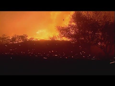 Cedar Fire in San Diego 20 years later