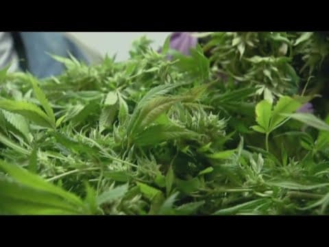 A Maryland bill overrides dispensary zoning rule