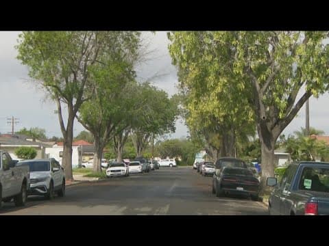 How many trees line San Diego’s streets, sidewalks? Tree inventory will find out