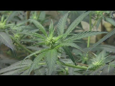 Ohio Senate passes provisions to change some aspects of Issue 2