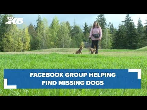 Facebook group helping find missing dogs