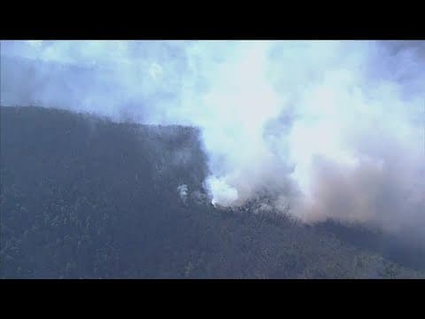 How climate change is making brush and wildfires worse | Eco9