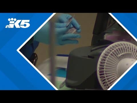 New REAL ID rule catches some off guard