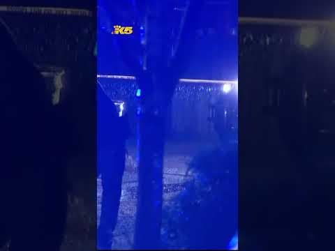 Metro bus driver stabbed to death by passenger in Seattle