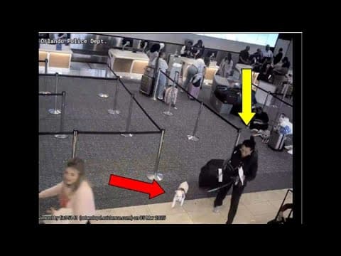 Woman accused of drowning her dog in Orlando airport bathroom after being denied flight