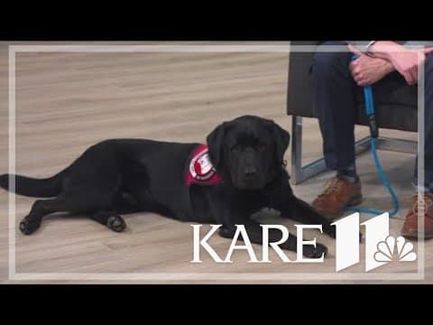 Can Do Canines plans open house for Saturday