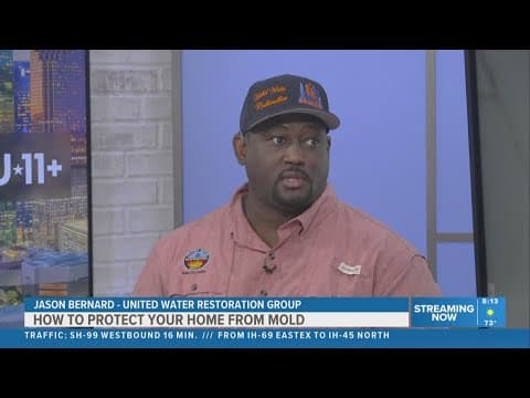 Tips to keep mold from taking over your home this fall