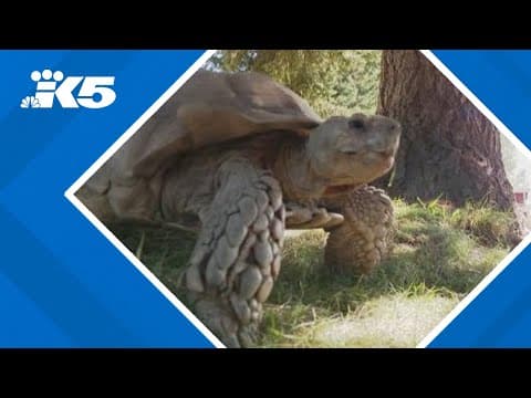 Beloved reptile zoo now only temporarily closing