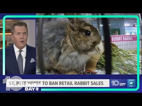 St. Pete votes to ban retail rabbit sales