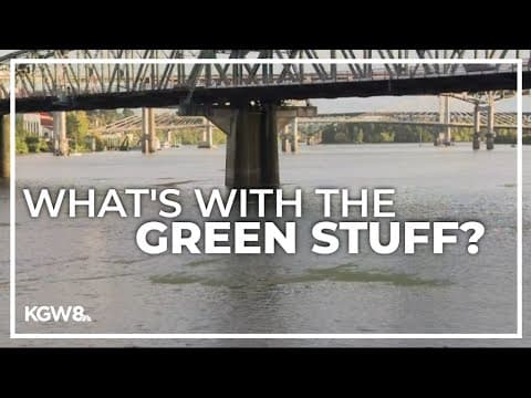 The green 'substance' in the Willamette River isn't harmful, officials say