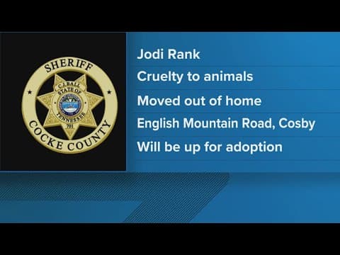 Cocke County woman charged after 16 dogs found in 'deplorable' conditions