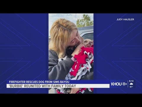 A day after being rescued from Sims Bayou, Burbie the chihuahua reunites with owner