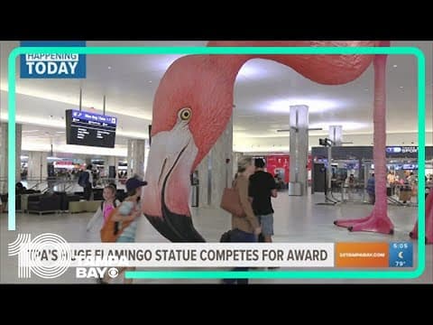 Tampa International Airport's huge flamingo statue competes for award