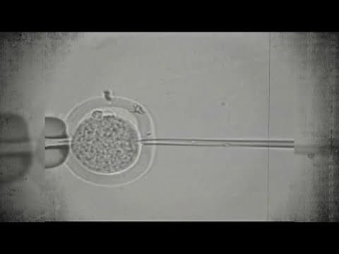 Egg freezing: Is it right for you?